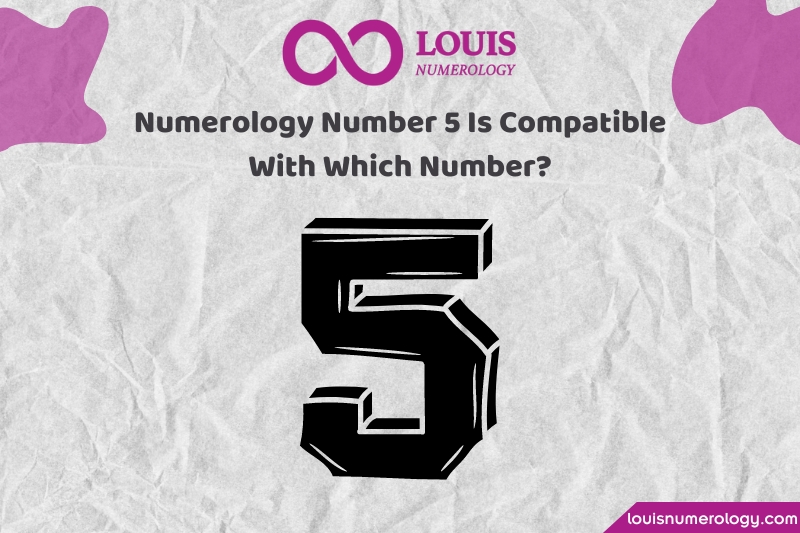 In numerology, which numbers are compatible with the number 5 in career, love, and marriage?